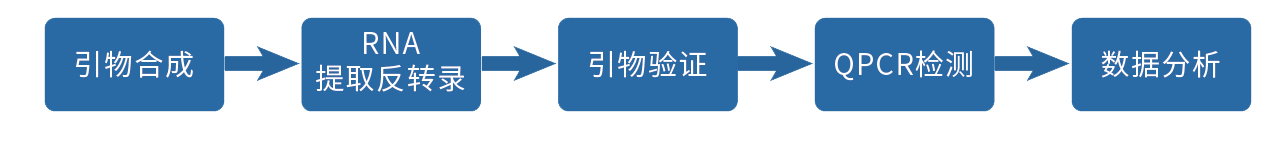 基本流程