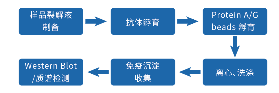 基本流程