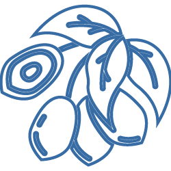 科研服务网站icon-14.png