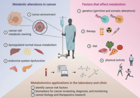 图1 癌症和代谢在多个层面相互作用