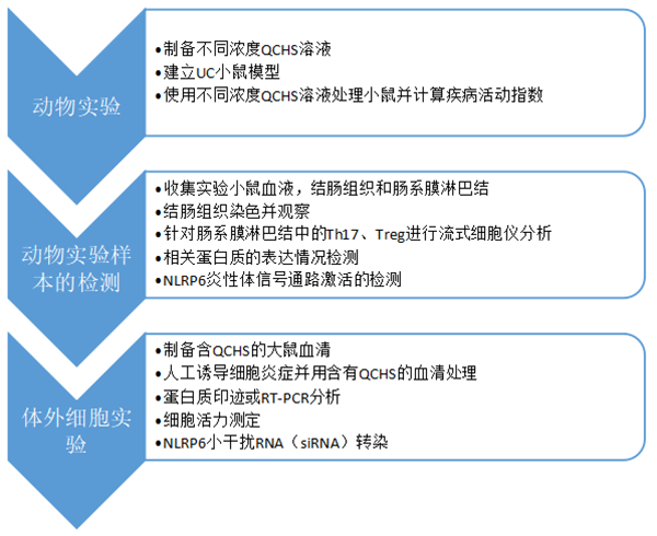 项目文章 | 清肠化湿颗粒通过激活NLRP6信号和调节Th17/Treg平衡来改善DSS诱导的结肠炎(图1)