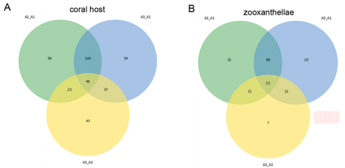 不同比较组中珊瑚和虫黄藻的蛋白图谱展示1