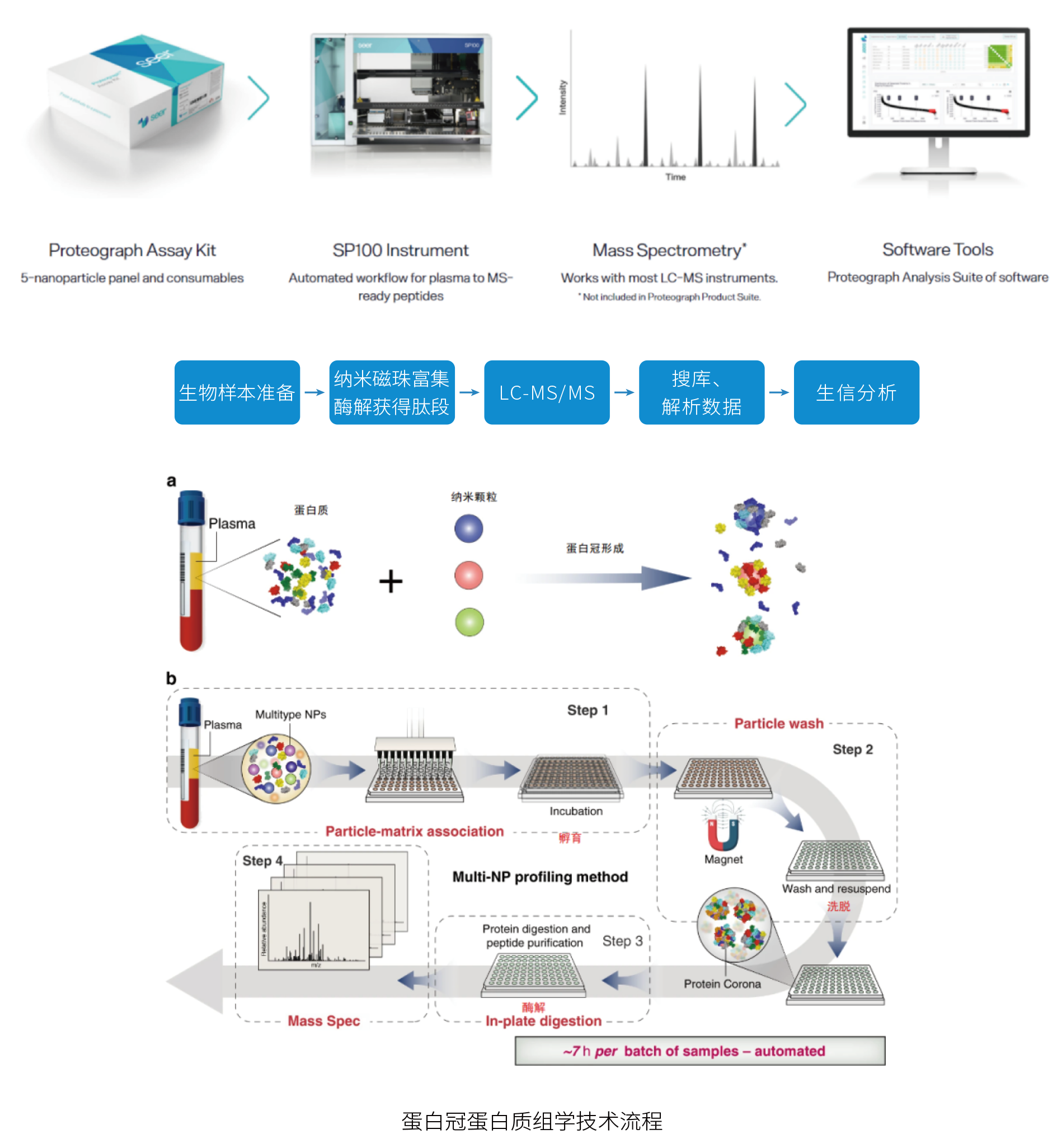 蛋白质组学_代谢组学_空间代谢组学_离子组学_蛋白质组学_多组学-阿趣生物官网
