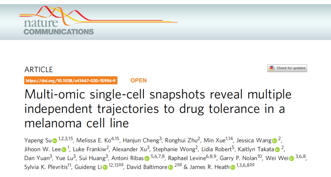 Multi-omic single-cell snapshots reveal multiple independent trajectories to drug tolerance in a melanoma cell line