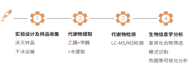 植物激素高通量靶标代谢组学技术路线