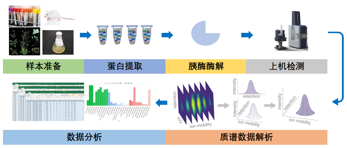 4D-Label free非标记定量蛋白质组研究