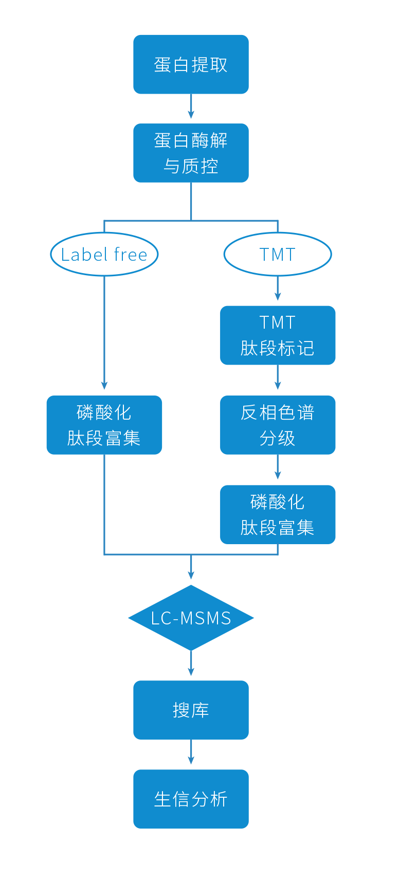 磷酸化修饰蛋白组学(图11)