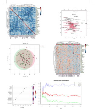 干货分享 | 如何使用Metaboanalyst 5.0-Statistical Analysis 进行基础数据分析(图8)