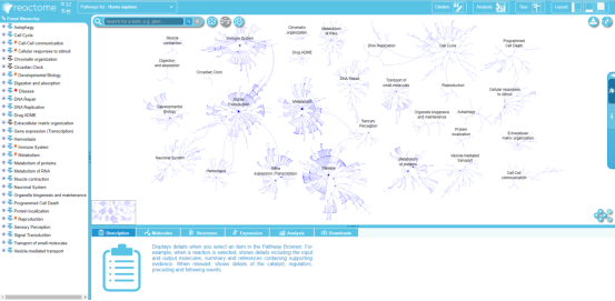 干货分享 | 5min带你认识简单好用的通路数据库——Reactome(图4)
