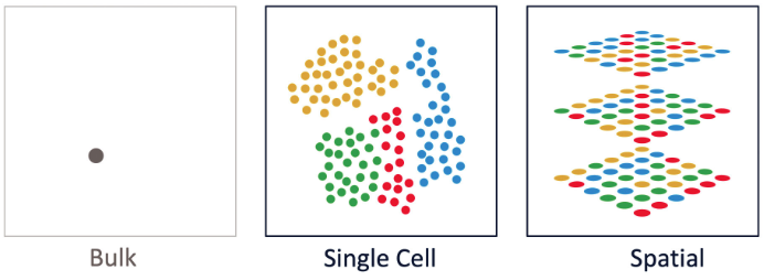 bulk转录组、单细胞转录组和空间转录组差别