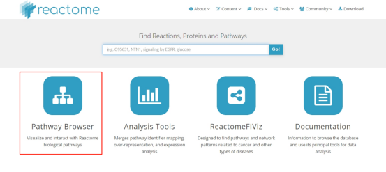 干货分享 | 5min带你认识简单好用的通路数据库——Reactome(图3)