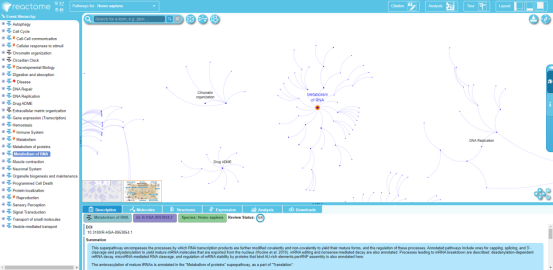 干货分享 | 5min带你认识简单好用的通路数据库——Reactome(图5)