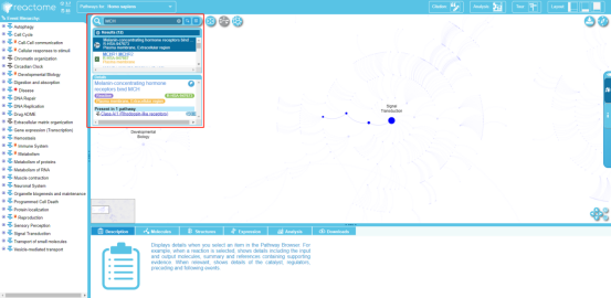 干货分享 | 5min带你认识简单好用的通路数据库——Reactome(图6)