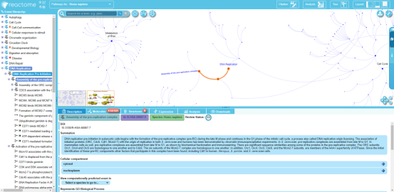 干货分享 | 5min带你认识简单好用的通路数据库——Reactome(图7)