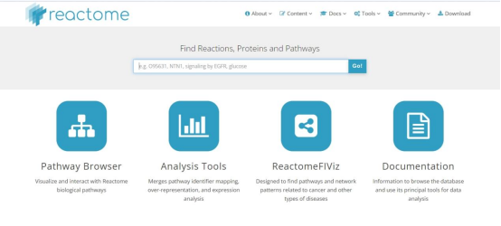 干货分享 | 5min带你认识简单好用的通路数据库——Reactome(图2)