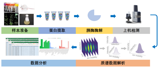 4D蛋白质组学技术-百趣生物