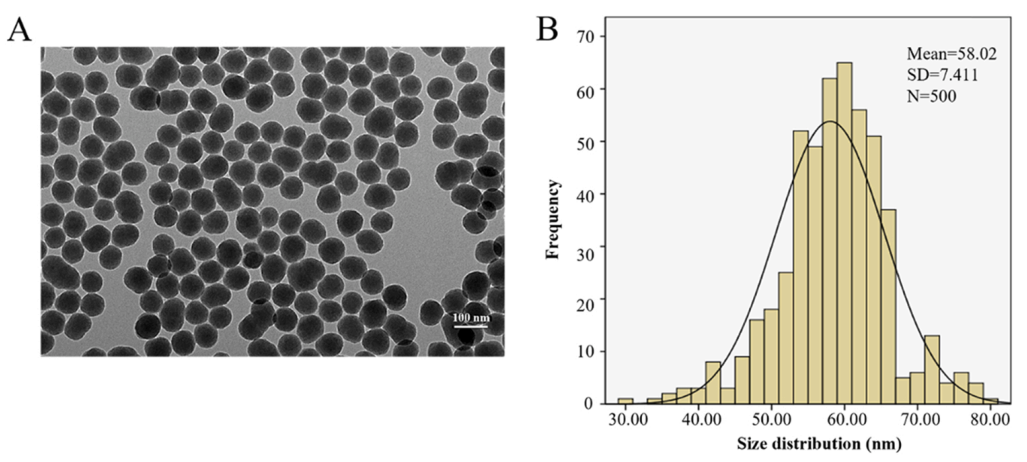 J. Hazard. Mater.（IF=13.6）| 蛋白质组学+代谢组学揭秘硅纳米颗粒对肝细胞代谢的干扰机制(图4)