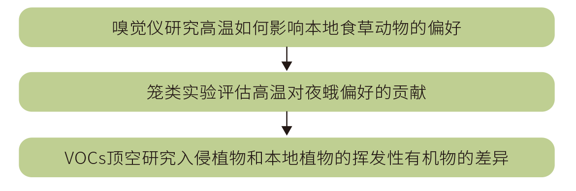 研究思路