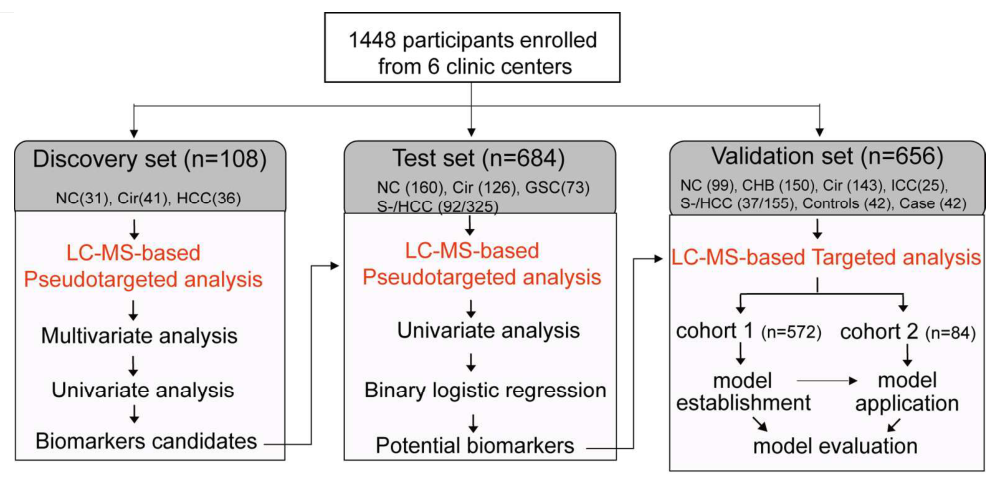 临床biomarker专题 | (IF=13.3)肝细胞癌早期检测的大规模、多中心血清代谢物生物标志物鉴定研究(图2)