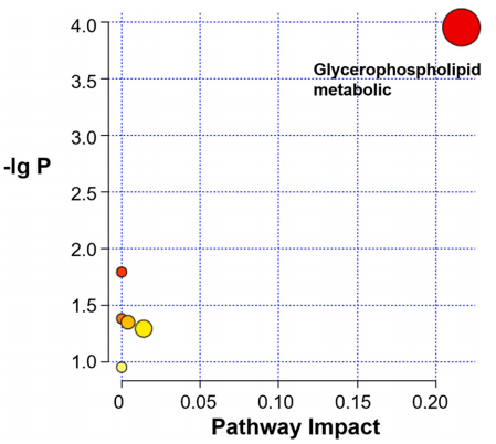 临床biomarker专题 | (IF=13.6)脂质组学生物标志物:尿双酚A暴露与结直肠癌之间的潜在介质(图7)