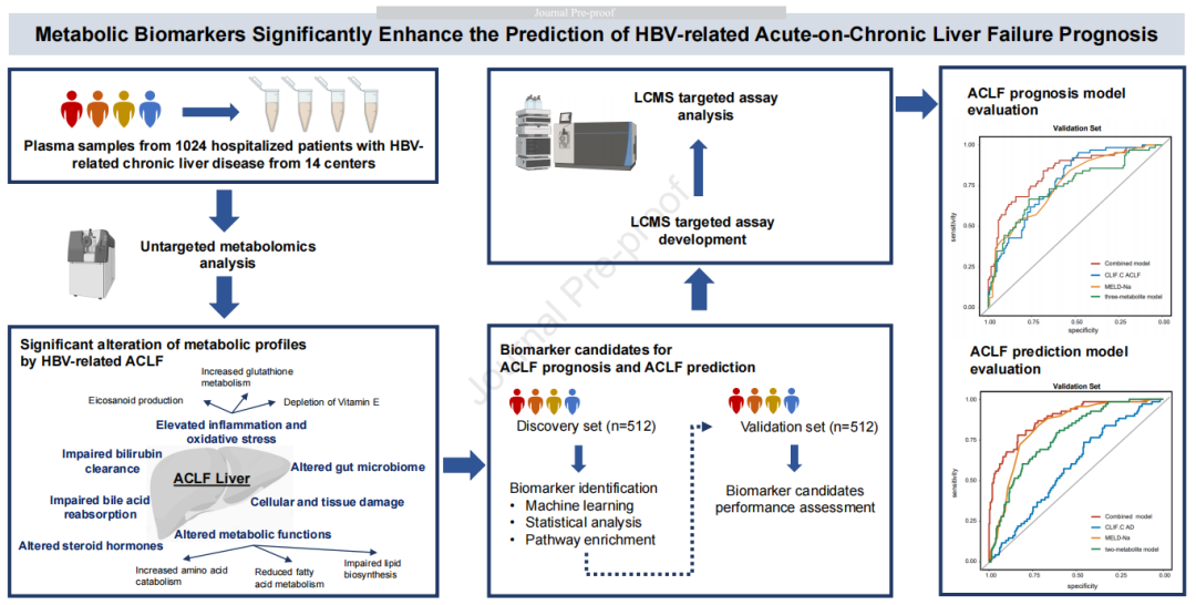 临床biomarker专题 | (IF=25.7)增强HBV-ACLF预后的生物标志物筛选(图1)