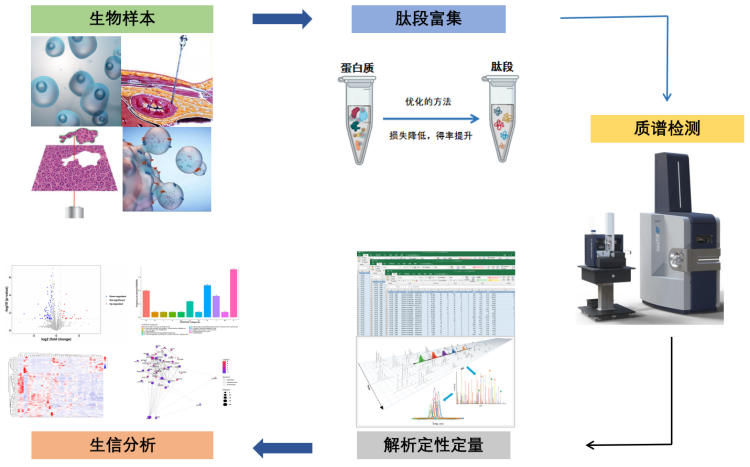 微量蛋白质组学(图3)