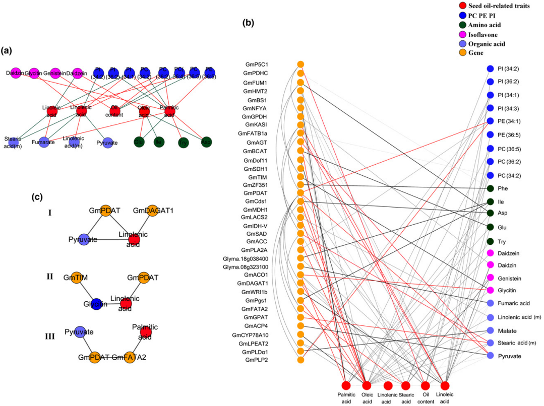 项目文章 | 三维遗传网络解密大豆脂质合成的遗传基础！(图6)