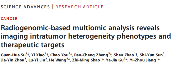文章解读 | 基于放射基因组的多组学分析揭示成像肿瘤内异质性表型和治疗靶点(图1)