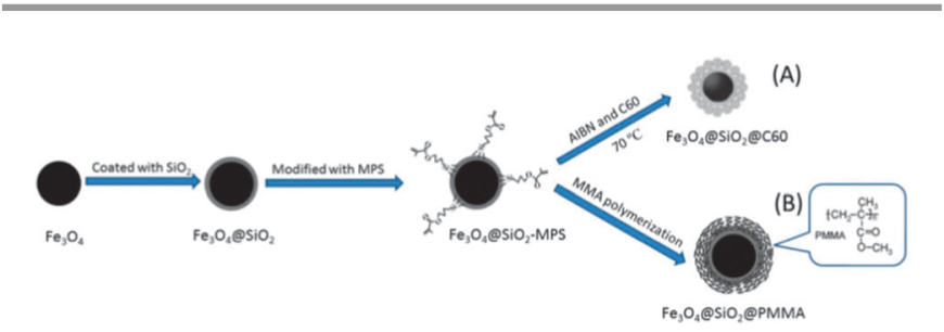 蛋白冠蛋白质组学技术大揭秘（IF46.2）！功能化纳米磁珠的制备与应用系统综述(图8)