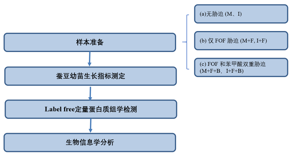 项目文章 | 蛋白质组学：看蚕豆-小麦间作系统如何击败尖孢镰刀菌与苯甲酸的威胁(图2)