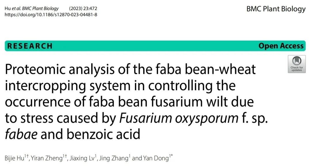 项目文章 | 蛋白质组学：看蚕豆-小麦间作系统如何击败尖孢镰刀菌与苯甲酸的威胁(图1)