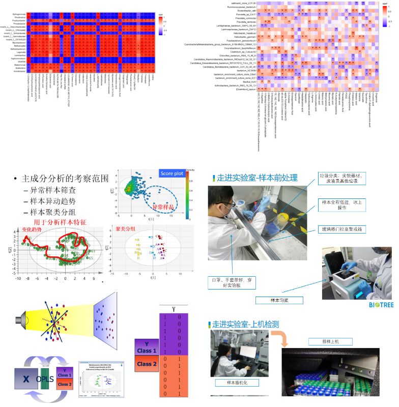 阿趣课堂第37期代谢组学培训班：开启你的生物信息学之旅！(图6)