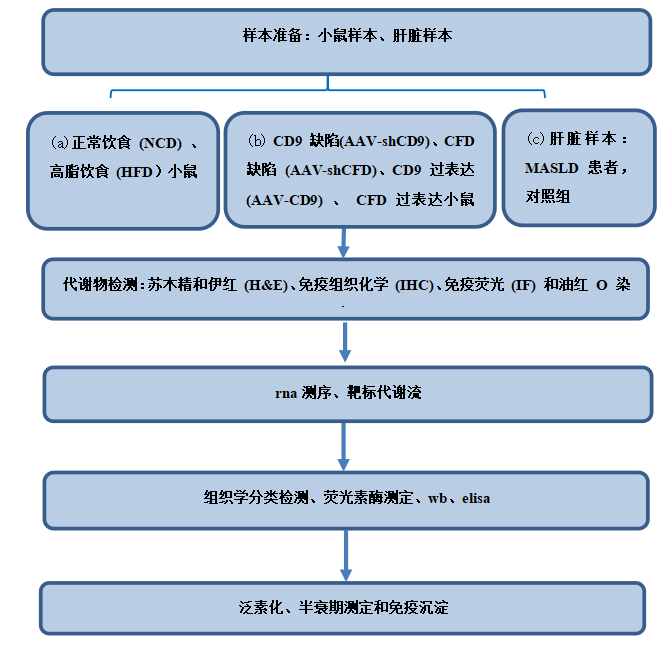 Advanced Science | 郑宏庭教授团队揭示GCGR激活下的肝脏脂肪代谢调控新机制(图2)