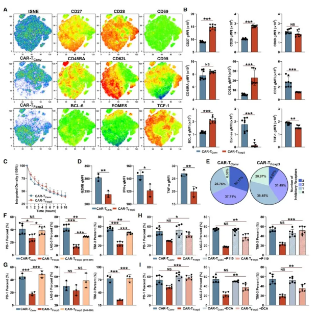 Cell Metab.｜复旦大学储以微、骆菲菲团队：Foxp3改造CAR-T，从「能量危机」到「代谢续航」的实体瘤治疗新路径(图9)