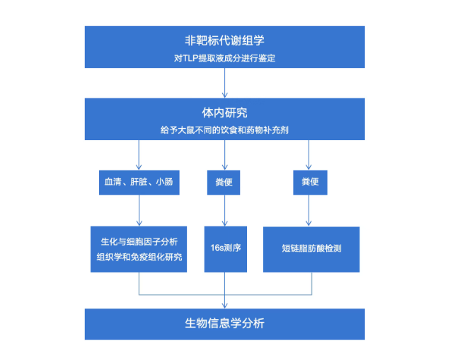 Phytomedicine｜张得钧教授团队发现藏药三果汤对非酒精性脂肪肝的预防机制(图2)