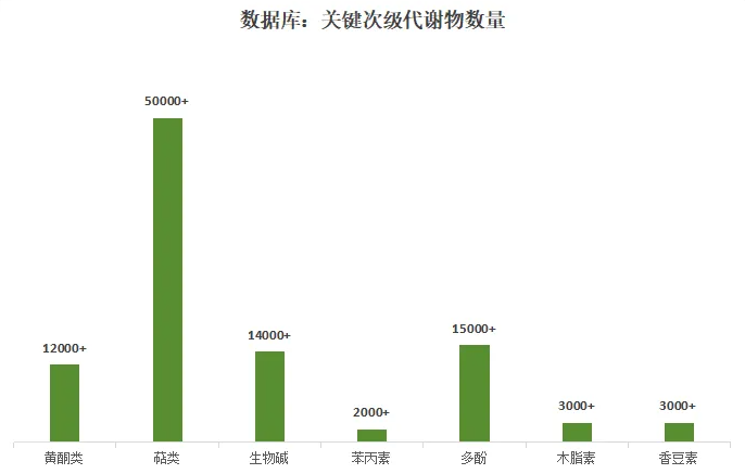 极致性能 超乎预期｜PRM精广·三重聚焦(图4)