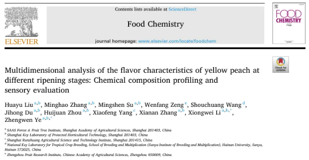 Food Chem. (IF=9.8)重磅发文｜上海农科院团队揭示黄桃从“青草味”到“浓郁果香”的风味转化机制(图1)