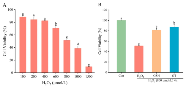 Food Res Int. (IF=8.0)｜合工大徐宝才教授团队破解细胞级抗衰密码：家禽血“变身”超级抗氧化剂(图11)