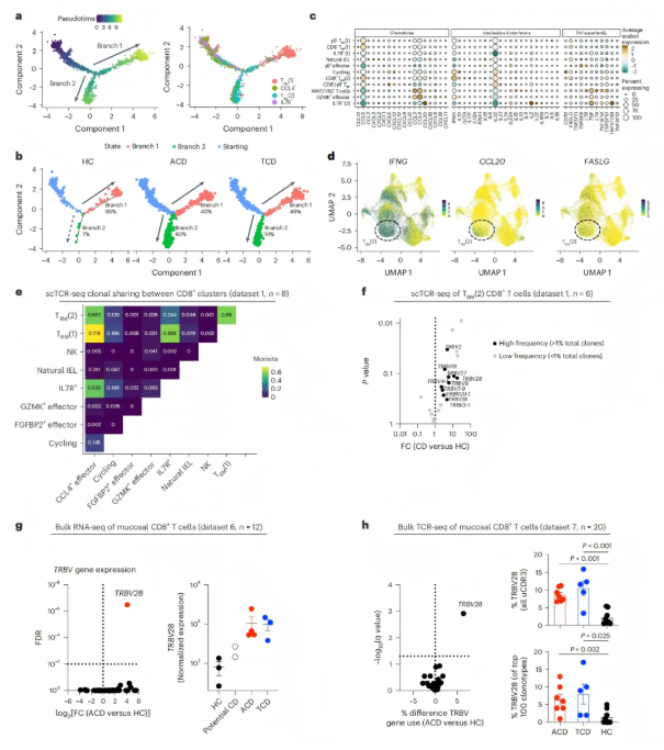 Nat. Immunol.(IF=27.6)｜单细胞与空间转录组强强联合：揭秘乳糜泻肠道免疫异常的“细胞密码”(图6)