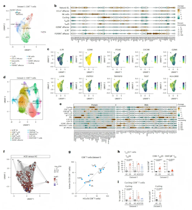 Nat. Immunol.(IF=27.6)｜单细胞与空间转录组强强联合：揭秘乳糜泻肠道免疫异常的“细胞密码”(图5)