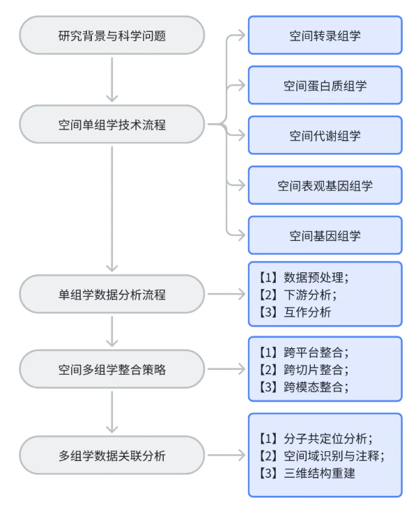 BMEF(IF=7.7)｜空间分辨多组学：从单组学技术、数据分析到多组学整合的全景解读(图2)