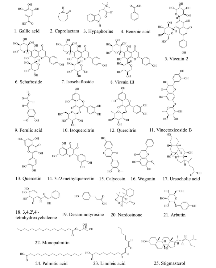 IF=8.3！广西中医药研究团队破解依山红方剂治慢性肝损伤之谜：25种入血成分+核心通路，机制研究登顶刊(图5)