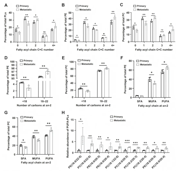 Cancer Res. (IF=16.6)｜重庆医科大学研究团队：ACSL4驱动磷脂重塑解析TNBC转移，点亮靶向联合化疗新路径(图3)