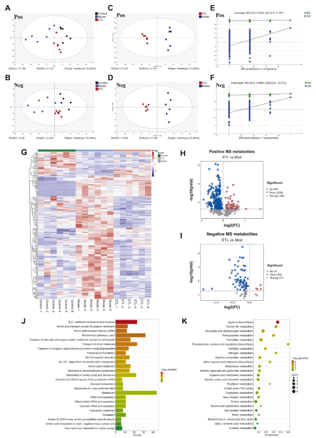 IF=8.3!中山大学金晶教授研究团队发文!丹参ET部位多组学调控抗炎抑铁死亡,破解RA治疗难题(图5) IF=8.3!中山大学金晶教授研究团队发文!丹参ET部位多组学调控抗炎抑铁死亡,破解RA治疗难题(图5)