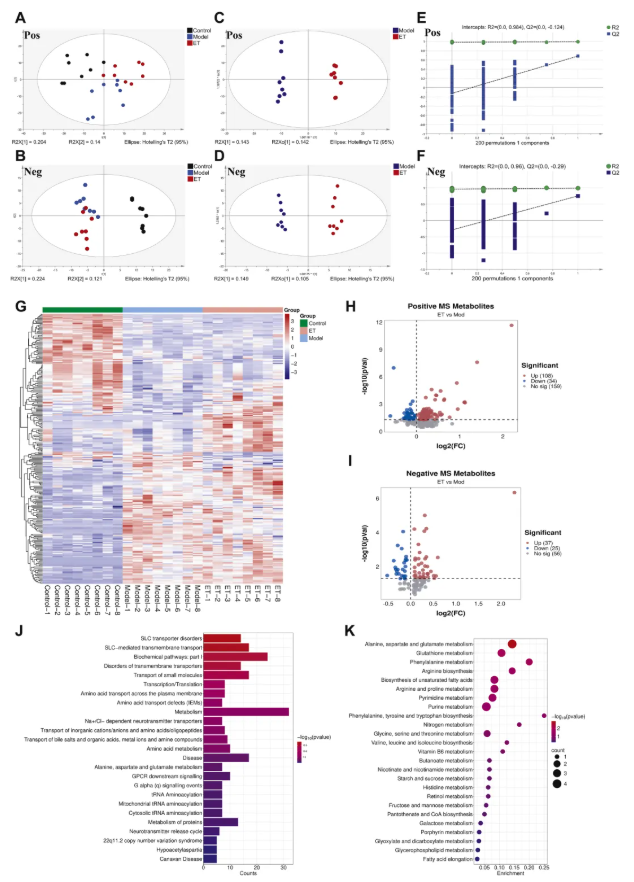 IF=8.3!中山大学金晶教授研究团队发文!丹参ET部位多组学调控抗炎抑铁死亡,破解RA治疗难题(图6) IF=8.3!中山大学金晶教授研究团队发文!丹参ET部位多组学调控抗炎抑铁死亡,破解RA治疗难题(图6)