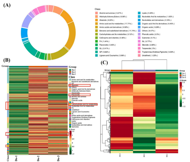 IF=8!安徽农大樊洪泓教授研究团队利用MALDI-MSI技术,精准锁定铁皮石斛最佳采收期为二年生(图6) IF=8!安徽农大樊洪泓教授研究团队利用MALDI-MSI技术,精准锁定铁皮石斛最佳采收期为二年生(图6)