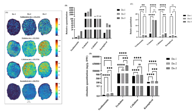 IF=8!安徽农大樊洪泓教授研究团队利用MALDI-MSI技术,精准锁定铁皮石斛最佳采收期为二年生(图9) IF=8!安徽农大樊洪泓教授研究团队利用MALDI-MSI技术,精准锁定铁皮石斛最佳采收期为二年生(图9)