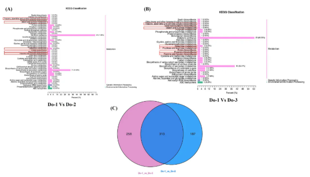 IF=8!安徽农大樊洪泓教授研究团队利用MALDI-MSI技术,精准锁定铁皮石斛最佳采收期为二年生(图8) IF=8!安徽农大樊洪泓教授研究团队利用MALDI-MSI技术,精准锁定铁皮石斛最佳采收期为二年生(图8)