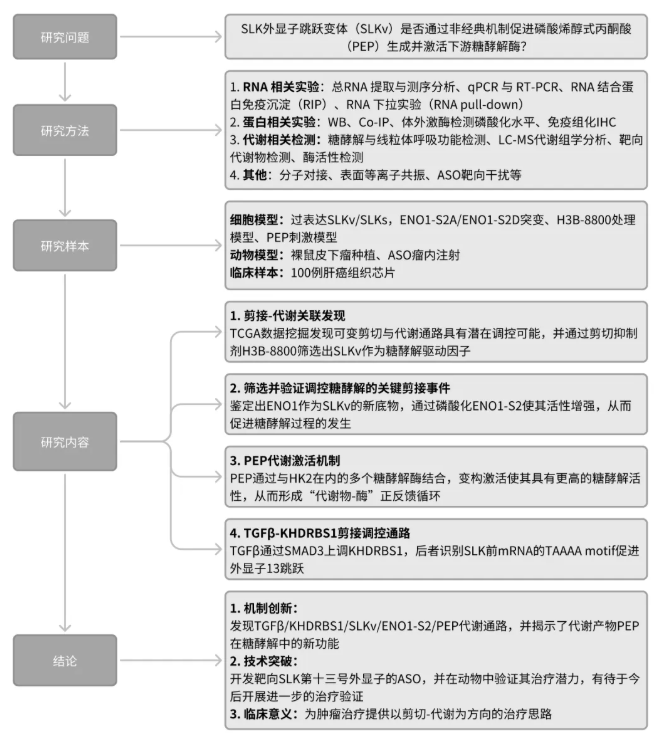 Cancer Res. (IF=16.6)|同济医院陈孝平教授团队:SLKv激活ENO1促糖酵解,ASO精准阻断抑肿瘤(图2) Cancer Res. (IF=16.6)|同济医院陈孝平教授团队:SLKv激活ENO1促糖酵解,ASO精准阻断抑肿瘤(图2)