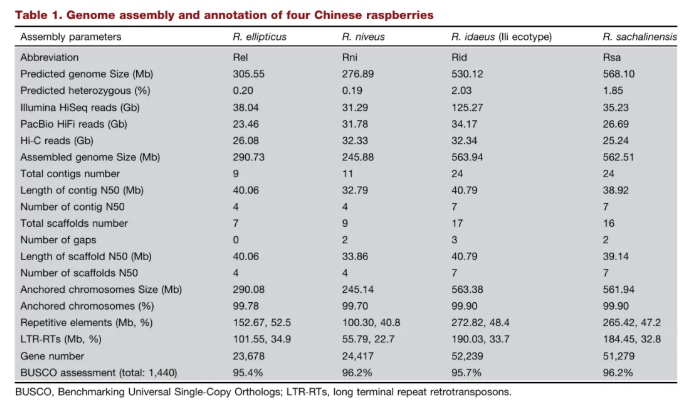 JIPB(IF=9.3)｜中科院昆明植物所孙航院士团队首次破解四种野生树莓基因组！(图2)